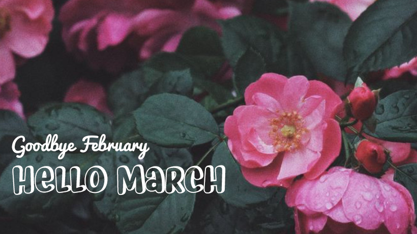 Goodbye February, Hello March